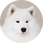 MochaMilk youtube avatar