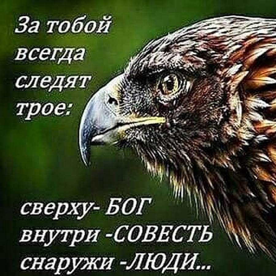 Следи богов. За тобой всегда следят трое сверху Бог. За тобой всегда следят трое сверху Бог внутри совесть снаружи люди. За тобой следят трое. Мудрый Орел.