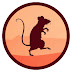 logo TexasRat