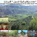 عبدو عياد