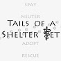 Tails of a Shelter Vet