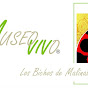 MUSEO VIVO