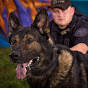 American Standard Dog Training youtube avatar