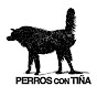 Perros con Tiña