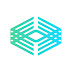 logo Visual Snow Initiative