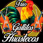 TRÍO GALLITOS HUASTECOS -Página Oficial