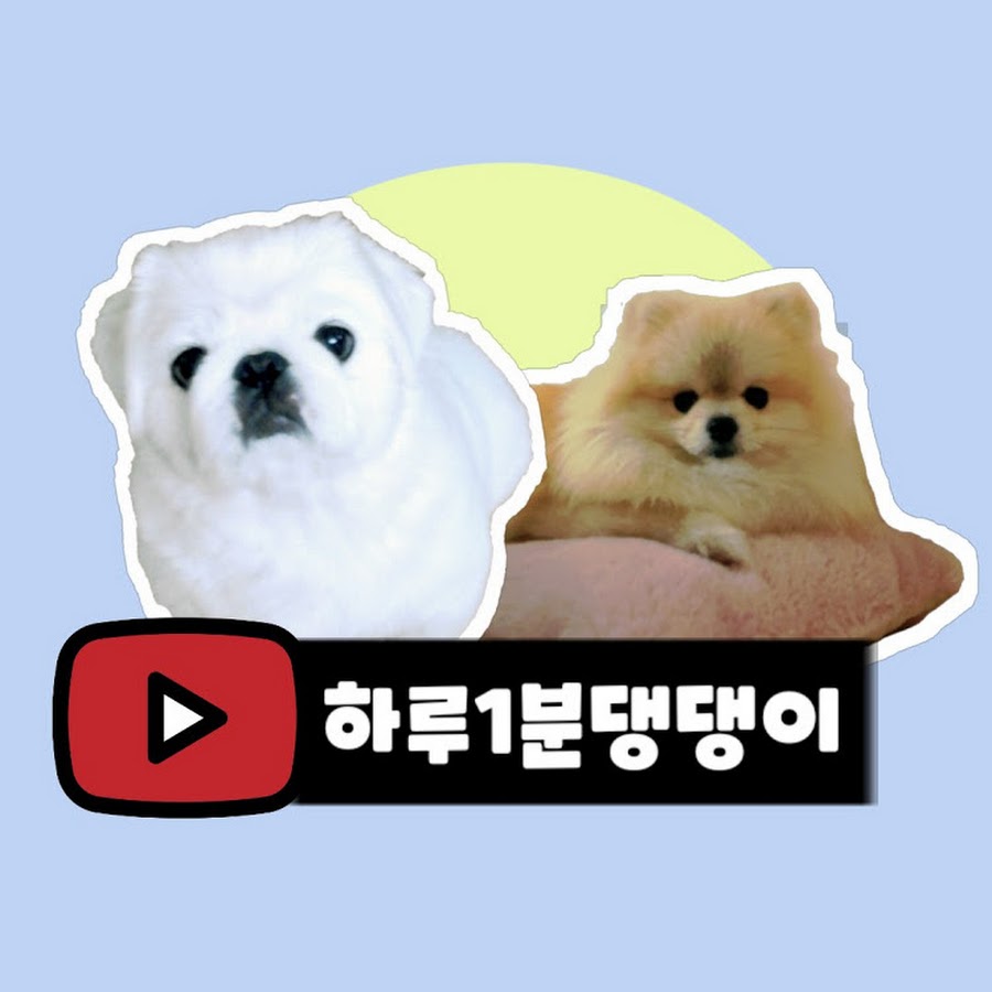하루1분댕댕이 - YouTube 하루1분댕댕이