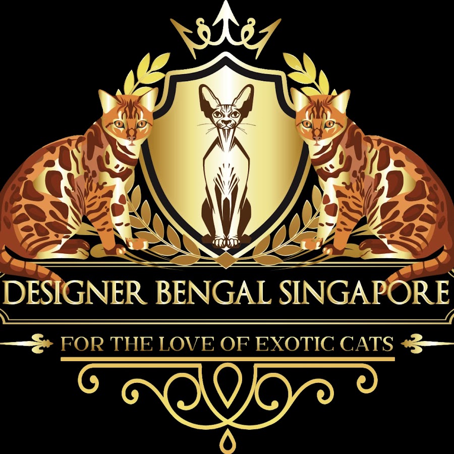 DESIGNER BENGAL SINGAPORE @designerbengalsingapore