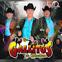 Los Gallitos de Chihuahua - Topic