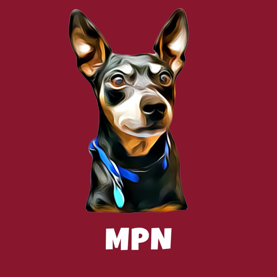 Min Pin Nation