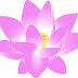 logo Zen Mindset