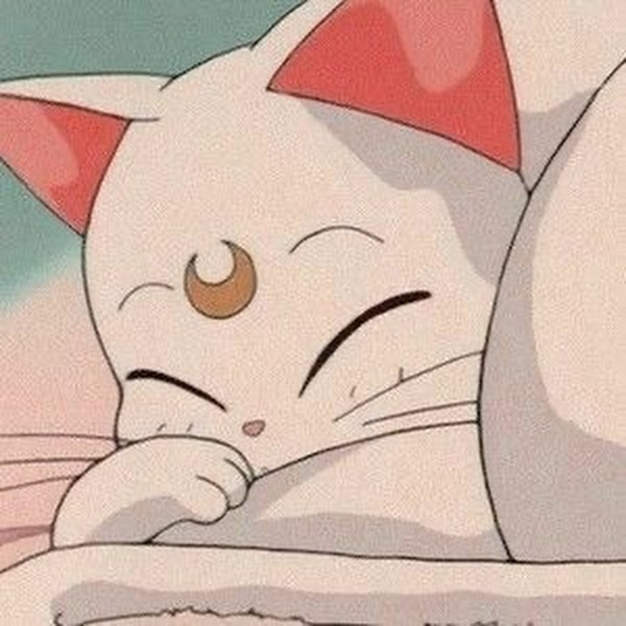 influencer profile picture