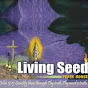 LivingseedTeam