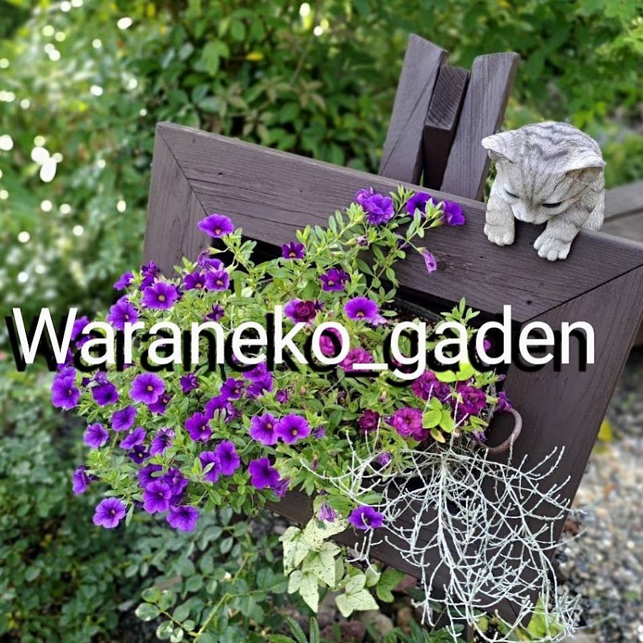 ガーデニング女将の庭作り waraneko garden