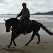 Steve Young Horsemanship