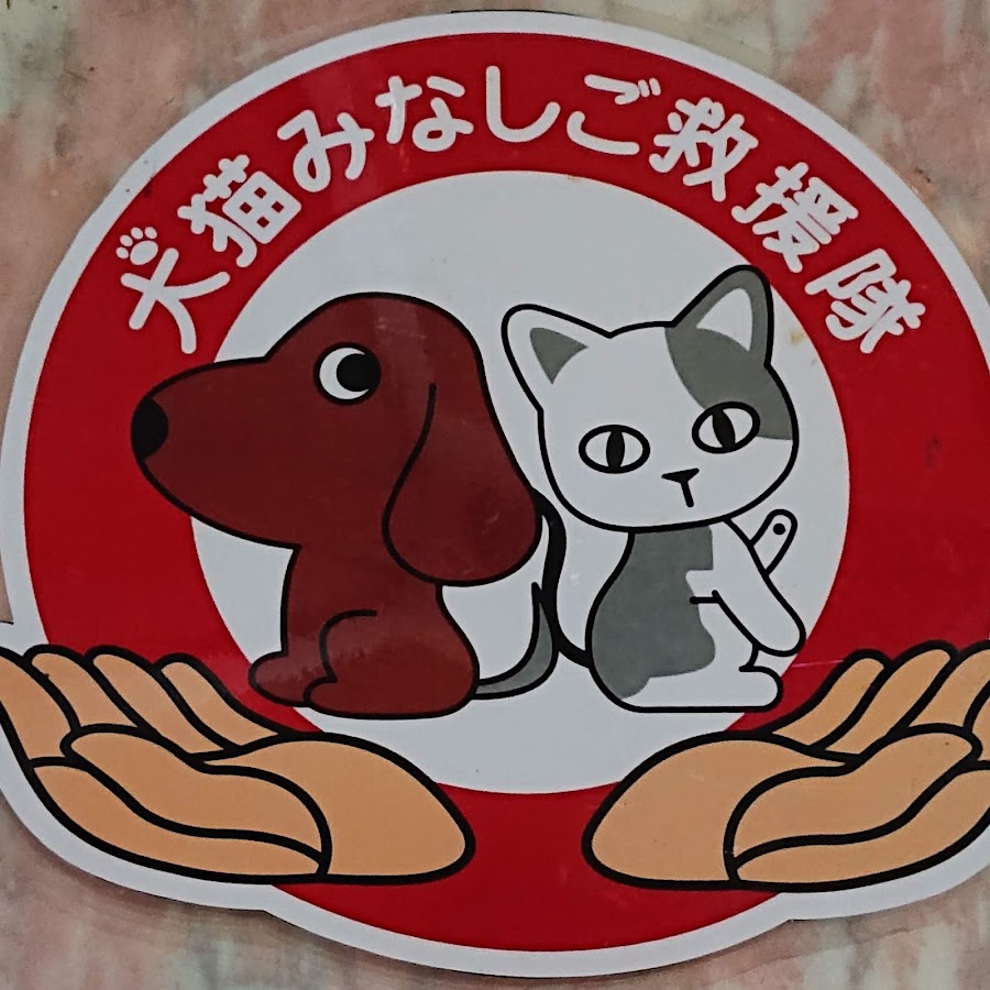 犬猫みなしご救援隊InunekoMinashigoKyuentai