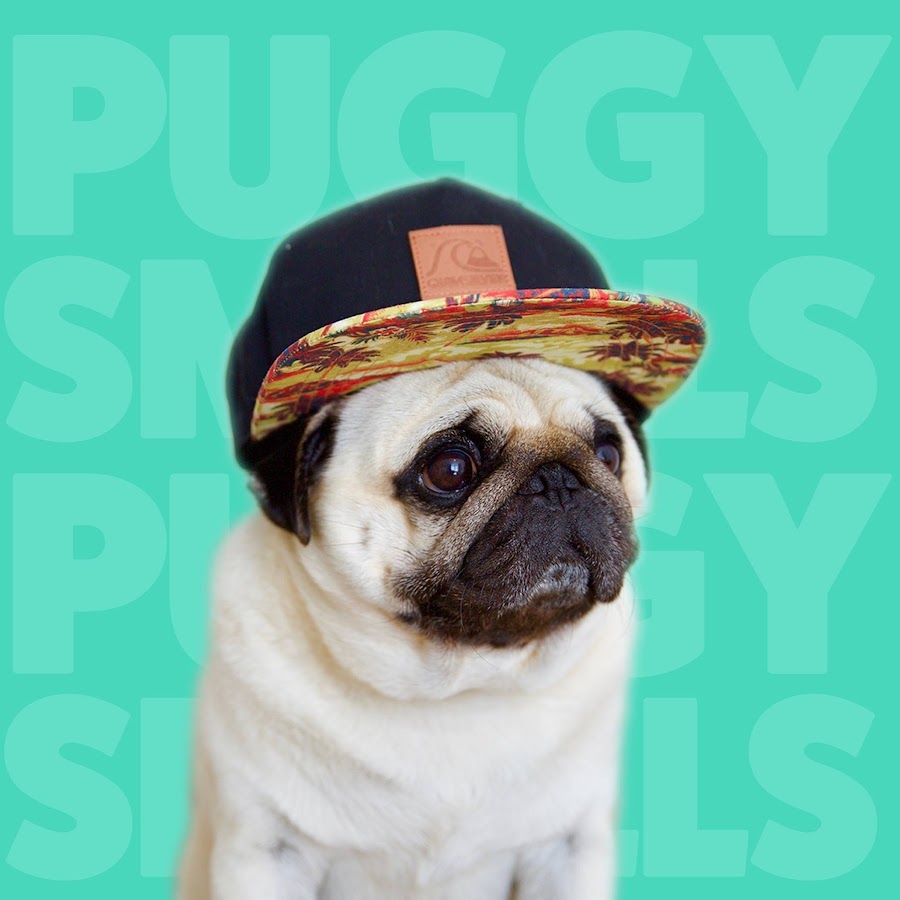 Puggy Smalls @PuggySmalls