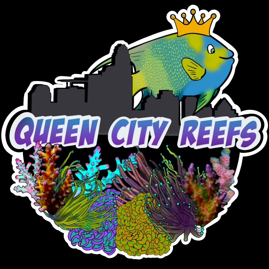 Queen City Reefs & More