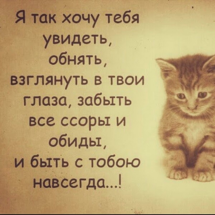 Хочу тебя увидеть что ответить. Стих про бездомного котенка. Стихи про котят грустные. Стихи про бездомных кошек. Грустная кошка стихотворение.