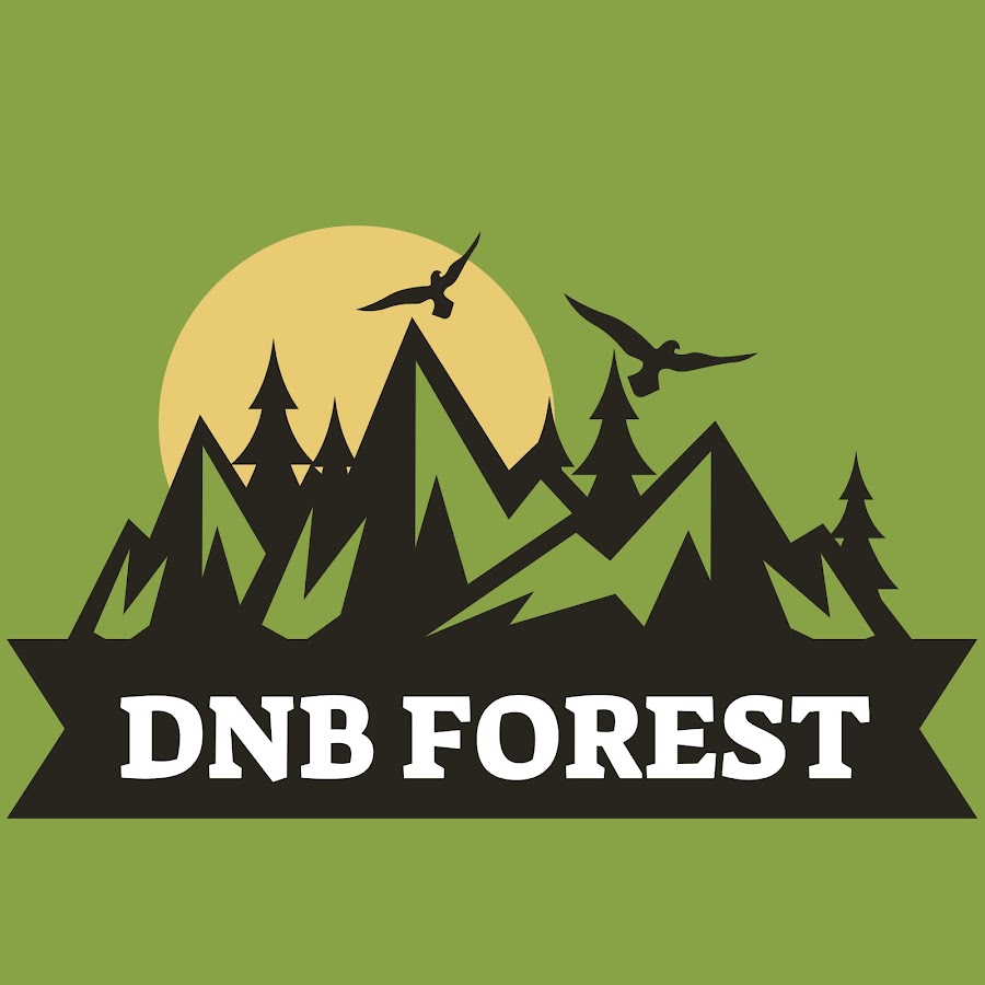 DNB Forest - YouTube