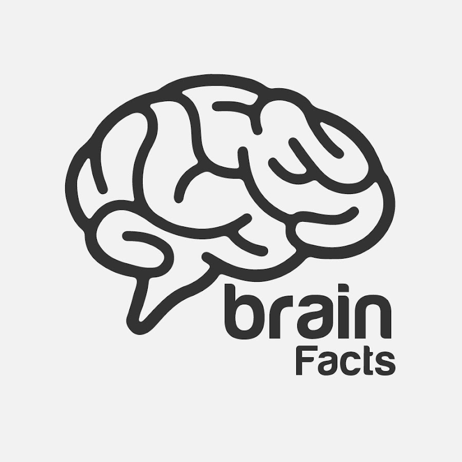 Brain Facts @UrduBrainFacts