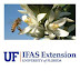 UF-IFAS Lake County Extension