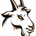 logo Its a Trippp
