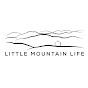 Little Mountain Life