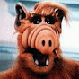 Alf