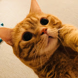チャンネル