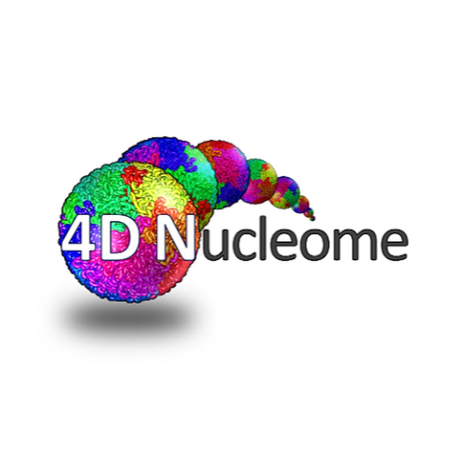 4D Nucleome