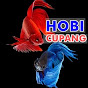 Hobi Cupang