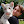 jacobfeder avatar