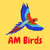 AM Birds