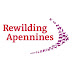 logo Rewilding Apennines