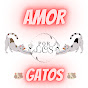 Amor Por Los Gatos