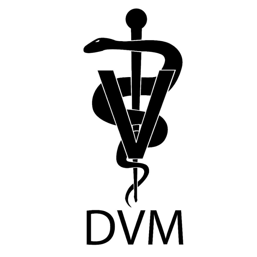 Двм. DVM logo. ДВМ шоп. Veterinary Medicine logo.