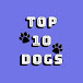 Top10 dogs