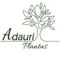 Adauri Plantas