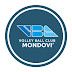 VBC Mondovì