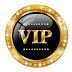 logo VIP KG