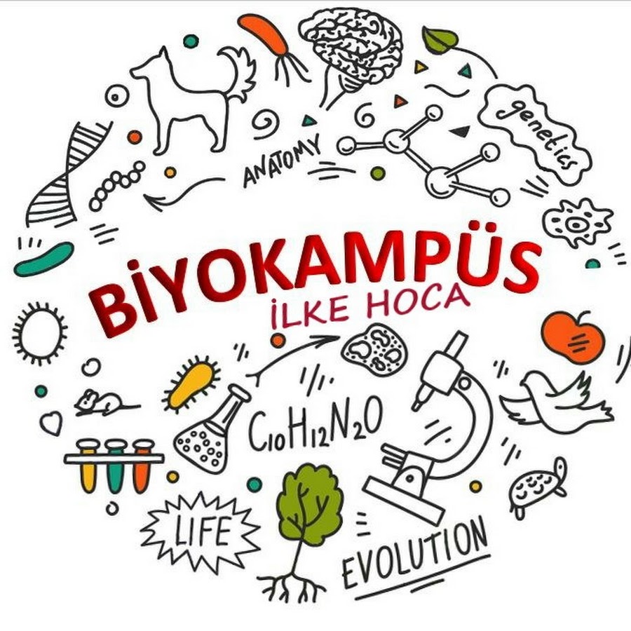 Biyokampus @biyokamp