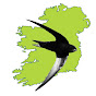 Swift Conservation Ireland