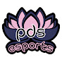 PDS Esports