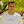 thatwasepic11 avatar