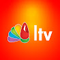 LTV VIVO