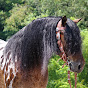 Buckeye Acre Farm