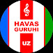 HAVAS guruhi