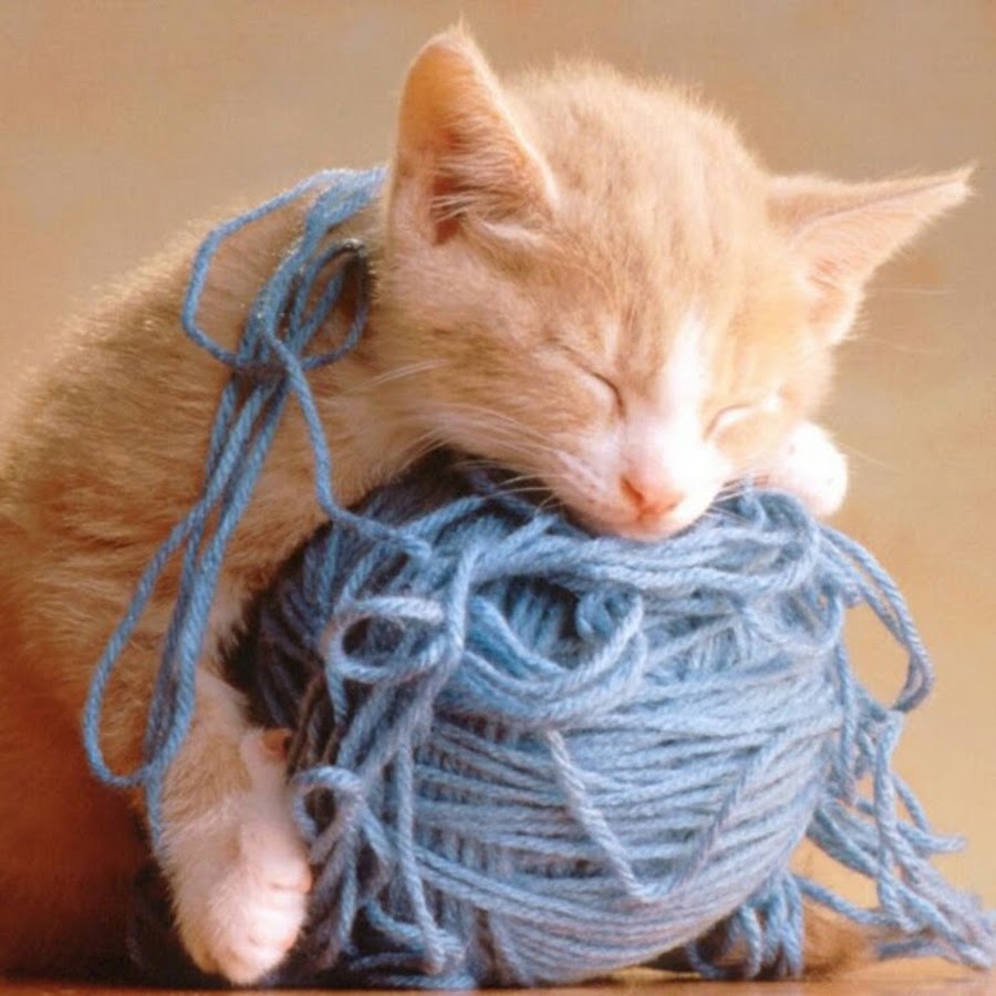 Knitting Lessons @KnittingLessons123