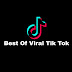 logo Best of Viral Tik Tok